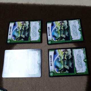 獅子王の遺跡4枚