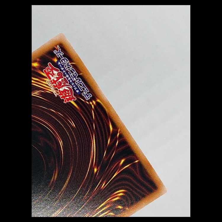 Dragon Ancestor Lancair of the Ice Spirit Mountain Secret Parallel TW01-JP001 MCAE00489 1枚