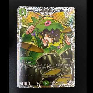# Masuki Hoshi R 25SP1 TD4/TD5 1枚