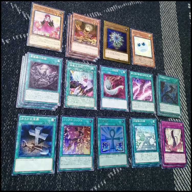 Yu-Gi-Oh! Deck Rose Dragon Gekka Ryu Black Rose [04998]. 1枚