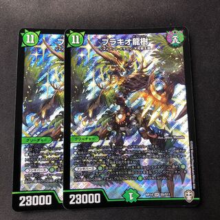 ブラキオ龍樹 2枚