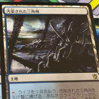 汚染された三角州