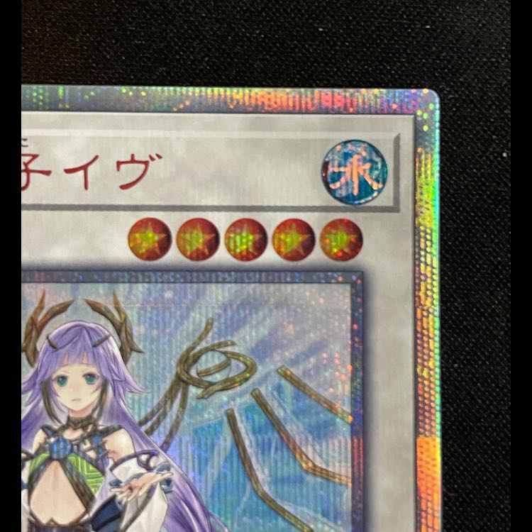 Ib the World Chalice Justiciar 20th DANE-JP035 1枚