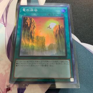 遊戯王 竜の渓谷 スーパー