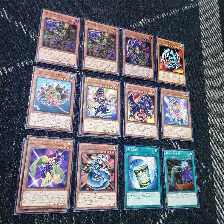 Yu-Gi-Oh Deck Toon Snubbull Eyes [05001]. 1枚