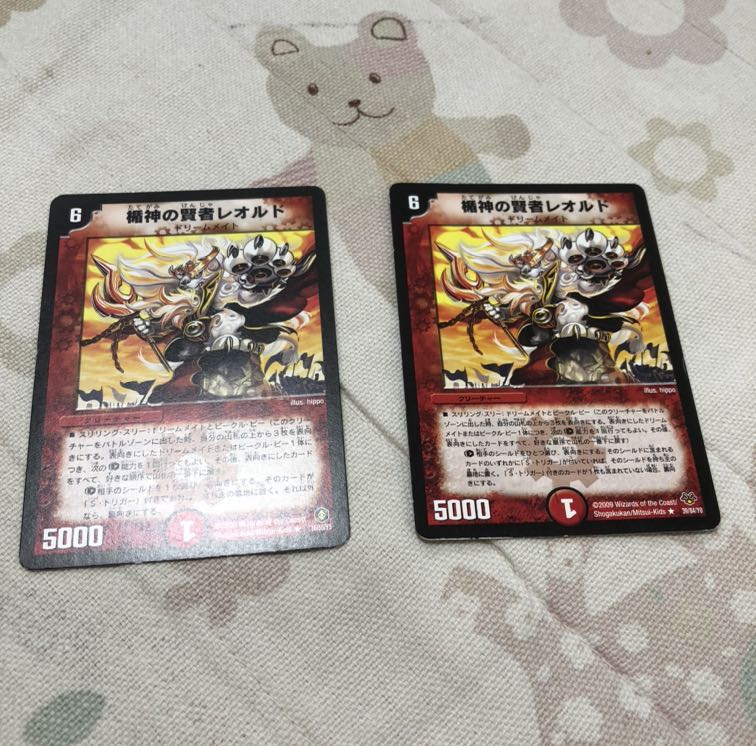 楯神の賢者レオルド