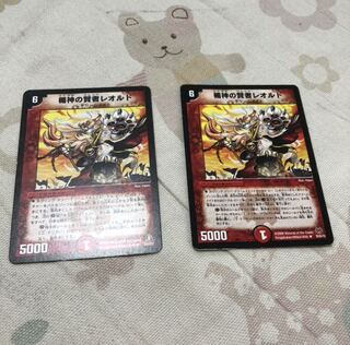 楯神の賢者レオルド