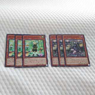 アロマージ-マジョラム　アロマージ-ローリエ