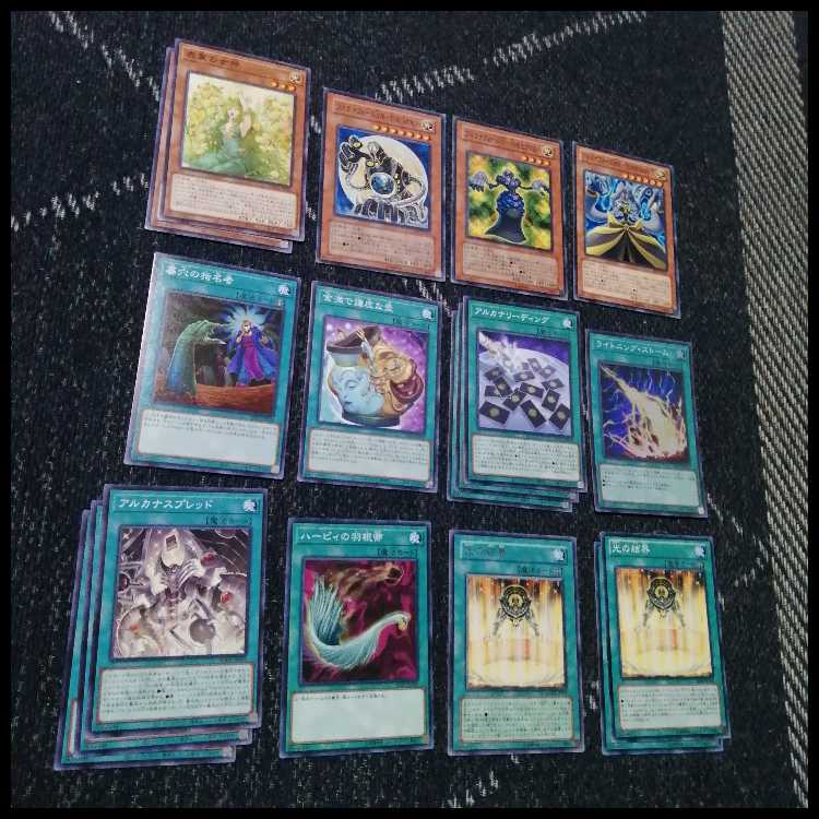 Yu-Gi-Oh! Deck Arcana Riryoku [05007]. 1枚
