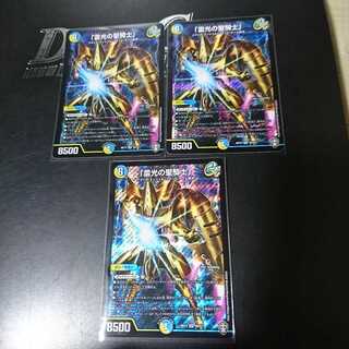 「雷光の聖騎士」