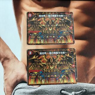 龍世界 -龍の降臨する地-2枚セット