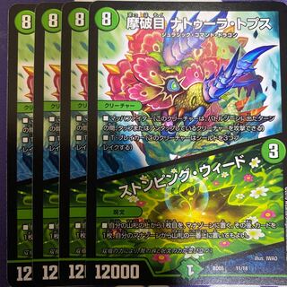 摩破目 ナトゥーラ・トプス｜ストンピング・ウィード　4枚