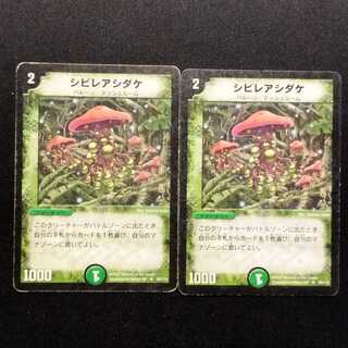中古品 デュエルマスターズ シビレアシダケ 初期 C 2枚