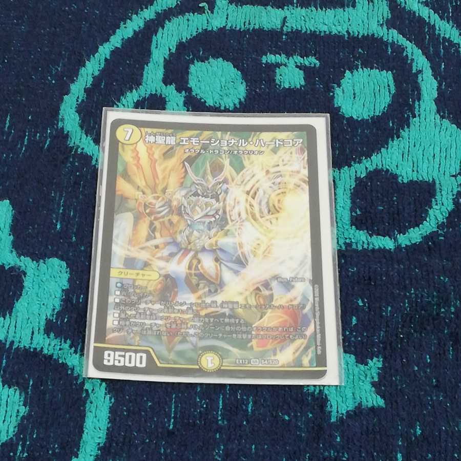 神聖龍 エモーショナル・ハードコア