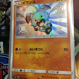 イワンコ 色違い 1枚