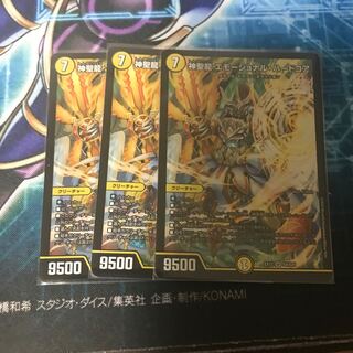 神聖龍 エモーショナル・ハードコア　3枚