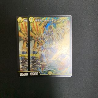 神聖龍 エモーショナル・ハードコア 2枚セット