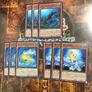 遊戯王★鰤っ子姫、エクシーズ・リモーラ、エクシーズ・スライドルフィン★各三枚