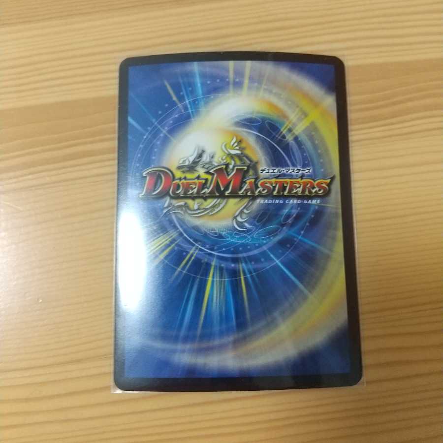 最終値下げ!トップ・オブ・ロマネスク SE