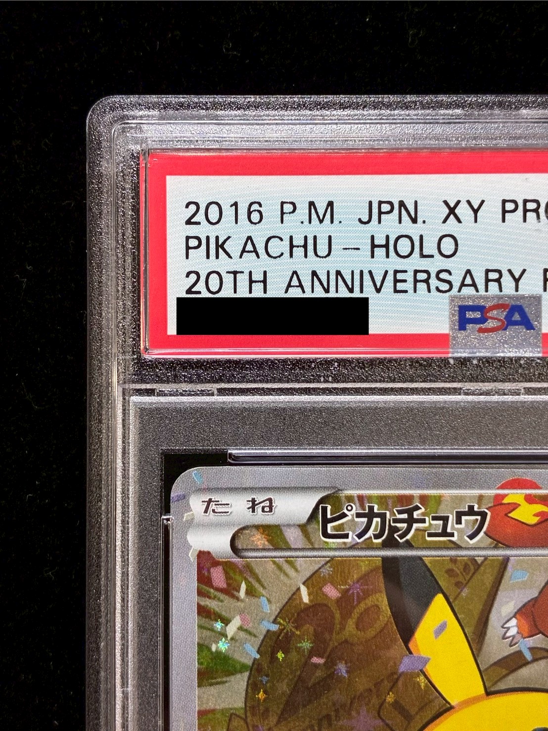Pikachu (20th Anniversary) [P] {279/XY-P} 1枚