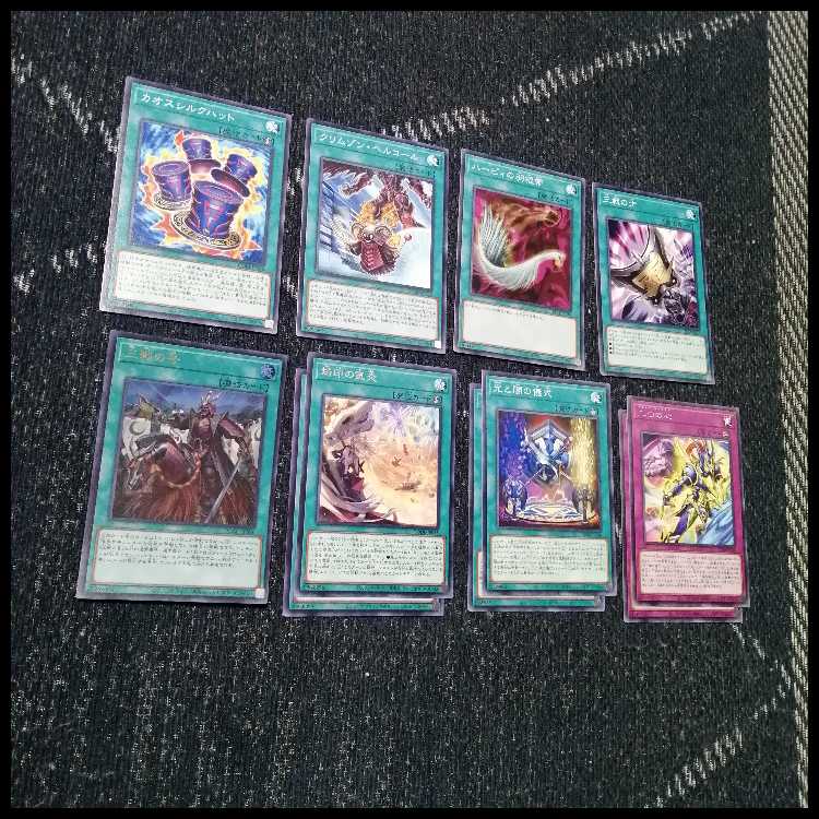 遊戯王　デッキ　烙印　光と闇の儀式　白き竜の落胤　[05031] 1枚