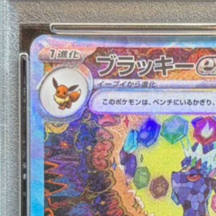 【PSA10】ブラッキーex SAR 217/187 1枚