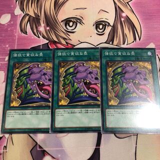 強欲で貪欲な壺 N 3枚セット