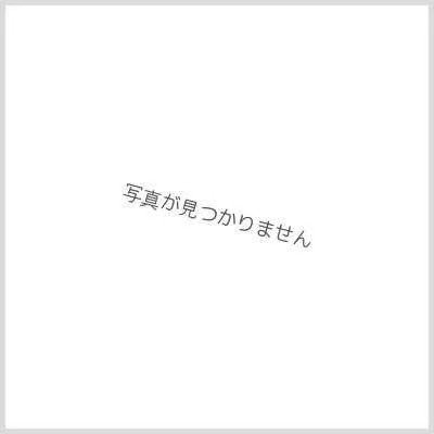 音卿の精霊龍ラフルル・ラブ/「未来から来る、だからミラクル」【SR】{P66/Y25}《多》 1枚