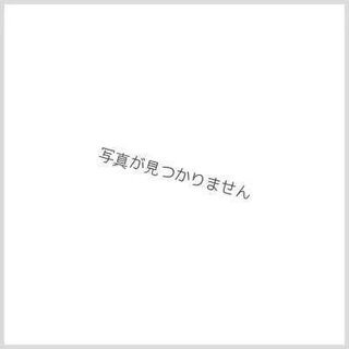 音卿の精霊龍ラフルル・ラブ/「未来から来る、だからミラクル」【SR】{P66/Y25}《多》 1