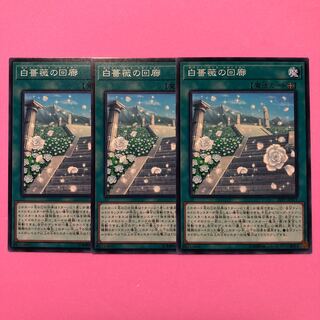 遊戯王 白薔薇の回廊 3枚 ノーマル