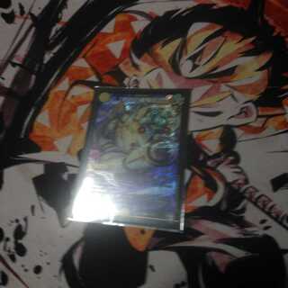 「絶対の楯騎士」