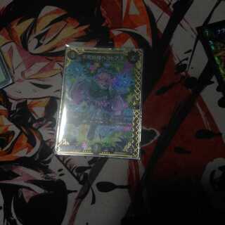 不死妖精ベラドアネシークレット