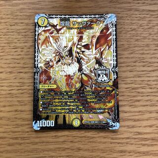 煌龍 サッヴァーク