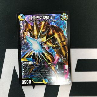 「雷光の聖騎士」