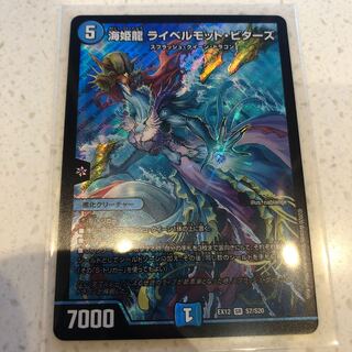 海姫龍 ライベルモット・ビターズ