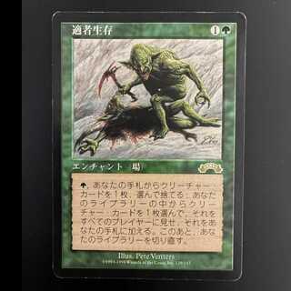 MTG 適者生存 日本語版 1枚
