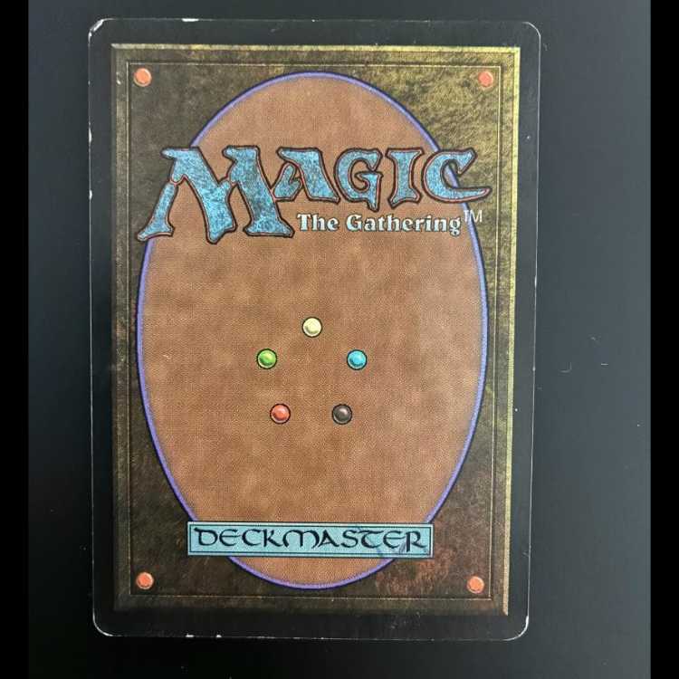 MTG 適者生存 日本語版 1枚