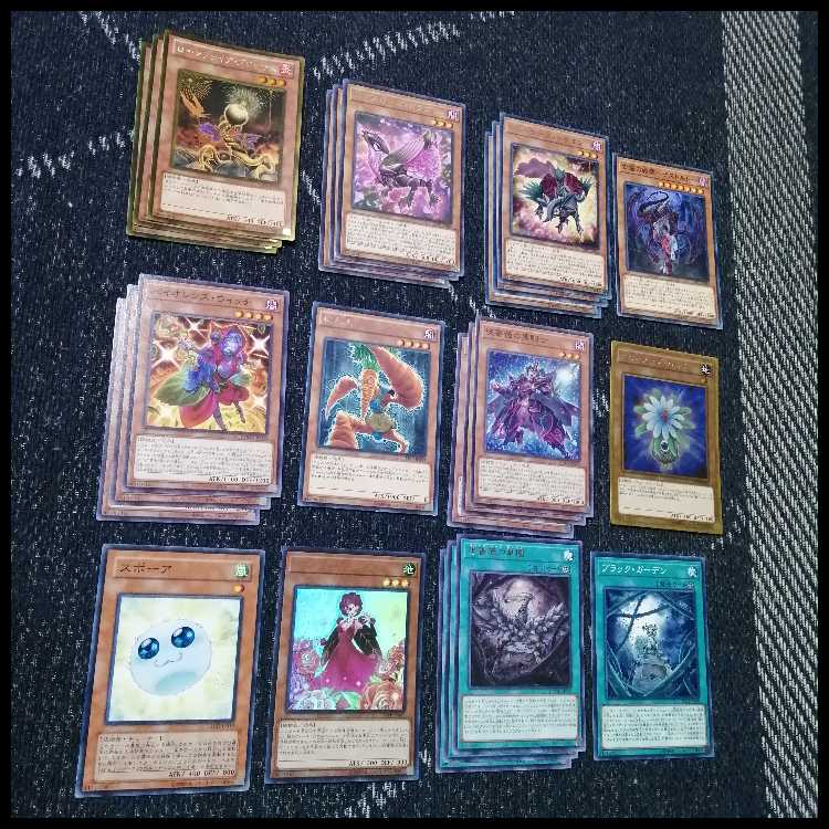 遊戯王　デッキ　ローズドラゴン　月華竜　ブラックローズ　[05035] 1枚