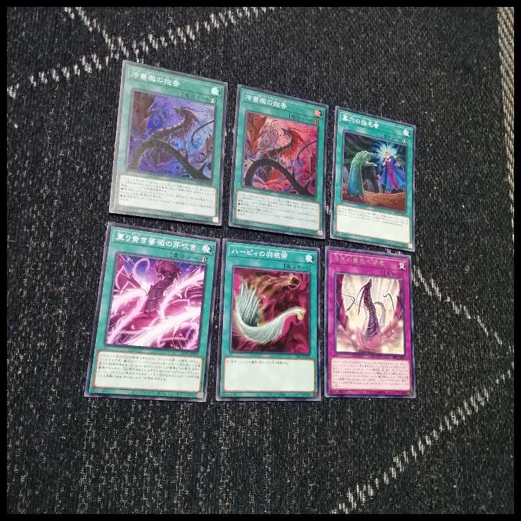 遊戯王　デッキ　ローズドラゴン　月華竜　ブラックローズ　[05035] 1枚