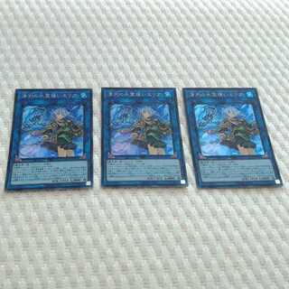 清冽の水霊使いエリア