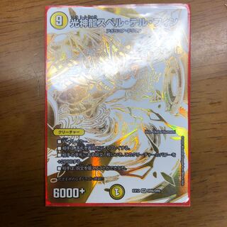 光神龍スペル・デル・フィン