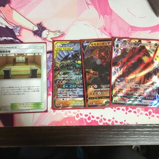 格闘タイプ(セキタンザンv)セット