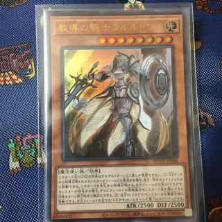 教導の騎士フルルドリス