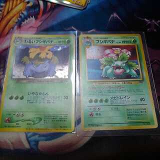 カケル様専用フシギバナ　初期GB　炎エネルギーと格闘エネルギー