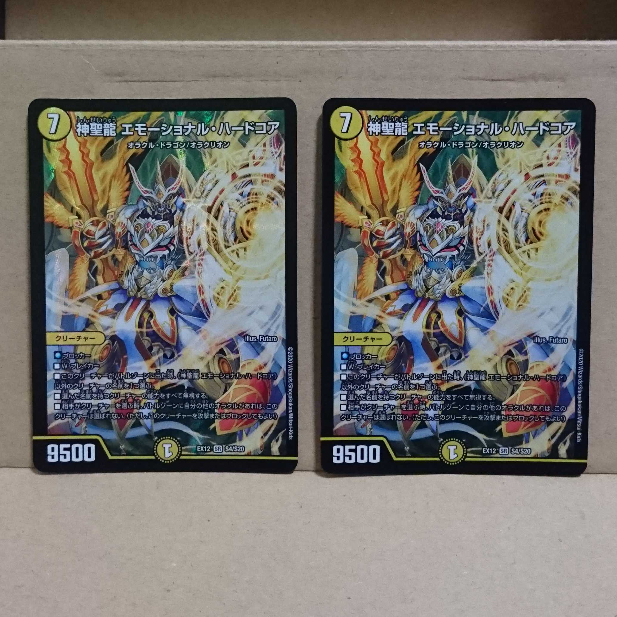 神聖龍 エモーショナル・ハードコア×2