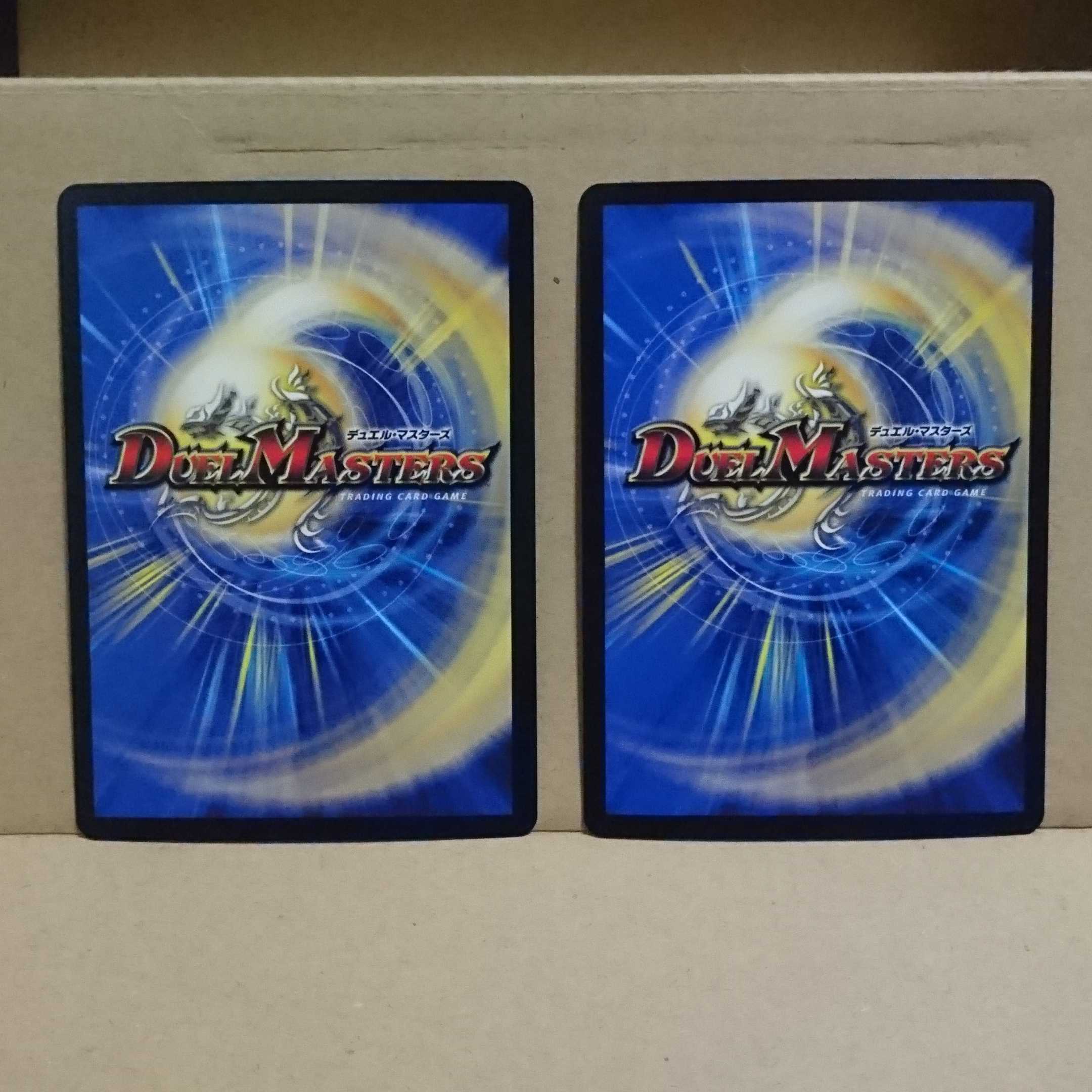 神聖龍 エモーショナル・ハードコア×2