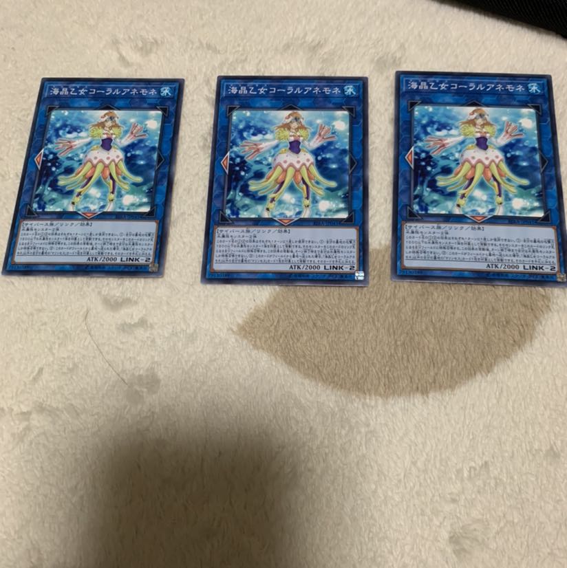 海晶乙女コーラルアネモネ N