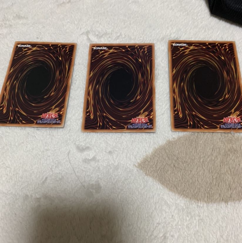 海晶乙女コーラルアネモネ N