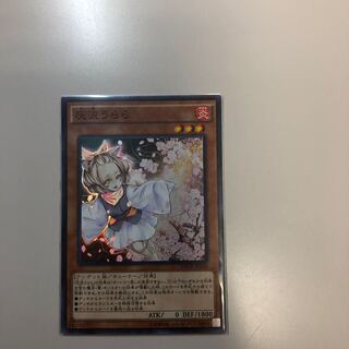 ドリコネ様専用 スーレリ(シクに同梱発送) 1枚