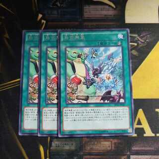 烏合無象 3枚セット